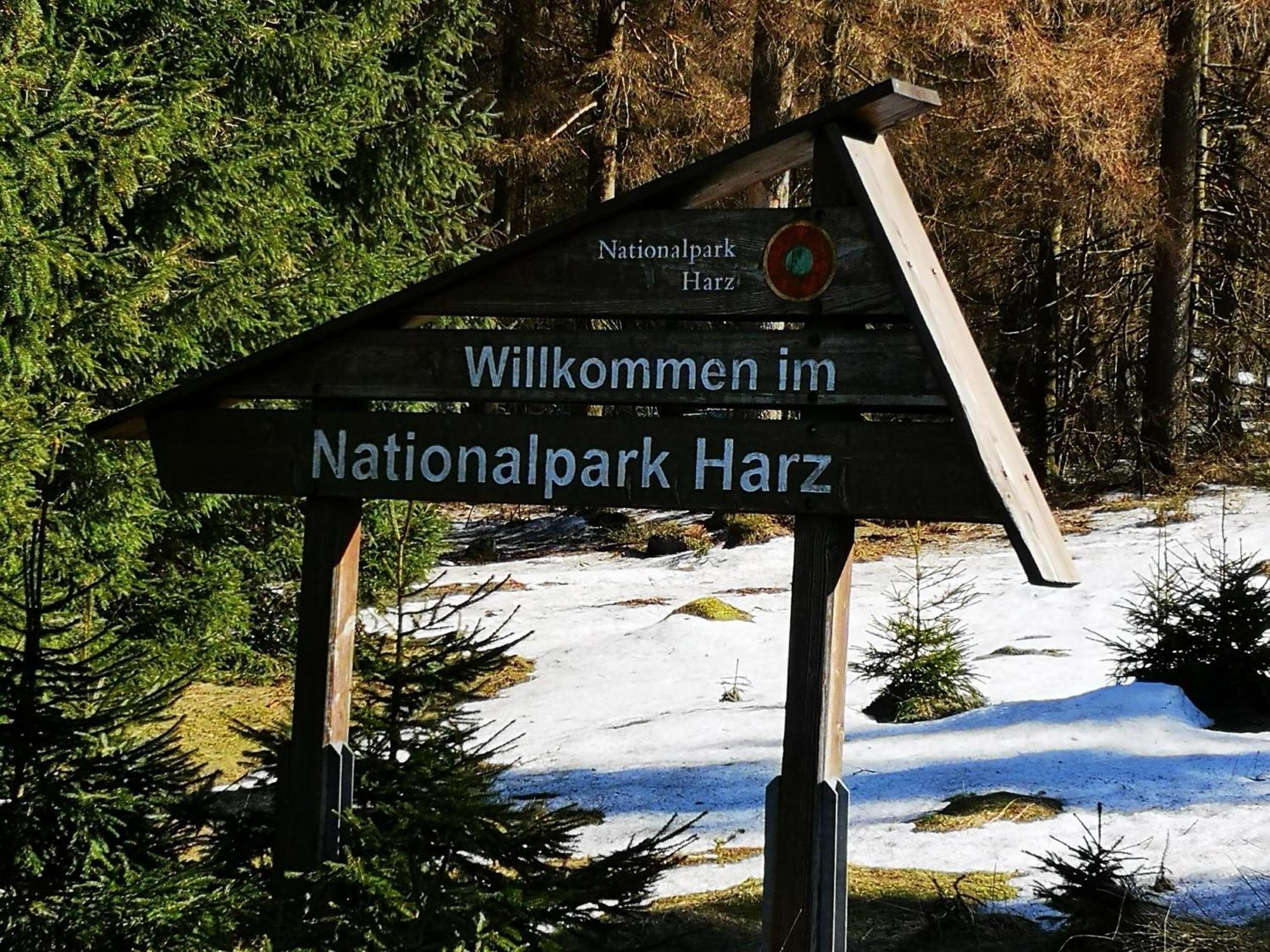 Naturliebeharz Altenau (Lower-Saxony) Exterior foto